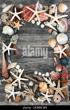 Abstract collage of seashells, starfish, driftwood, seaweed and pebbles on a rustic wood background. Flat lay. Stock Photo