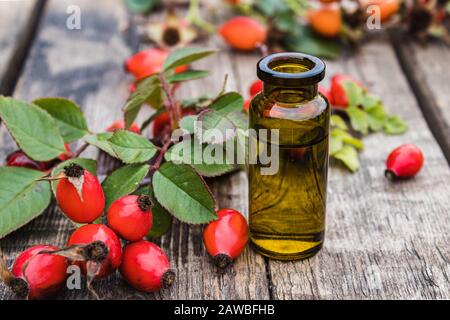 Glass bottle of rosehip essential oil with fresh rosehips on a wooden table. Tincture or essential oil with rose hips. Spa herbal medicine. Stock Photo