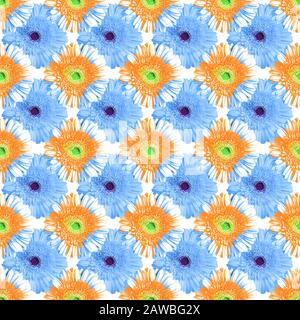 Seamless pattern blue and orange gerbera flowers, white background, summer daisy floral ornament, abstract gerber flower texture, art wallpaper design Stock Photo