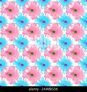 Seamless pattern blue and pink gerbera flowers on white background, summer daisy floral ornament, abstract gerber flower texture, art wallpaper design Stock Photo