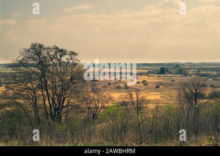 Nature panoramic landscape view from high. field with plants and trees nature background. view into the distance Stock Photo