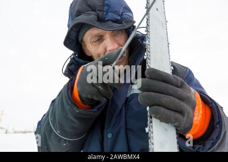 A worker in a blue jacket sharpens a chainsaw chain. Stock Photo