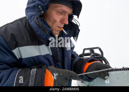 A worker in a blue jacket sharpens a chainsaw chain. Stock Photo
