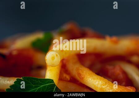 Close-up of bucatini noodle. Macro photography. Stock Photo