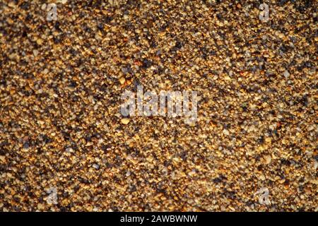 golden sand on the beach closeup glitters with grains poured under the rays of the setting sun Stock Photo