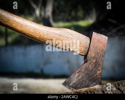 Wood Chopper embedded in tree stump, close up image Stock Photo