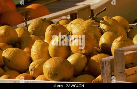 Ripe juicy lemons on sale at market Stock Photo