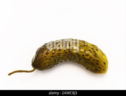 lone pickled cucumber on white Stock Photo