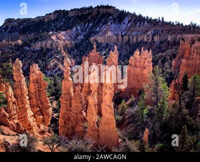 The rock formations and Hoodoos of Bryce Canyon National Park, Utah, as seen from Fairyland Point. Stock Photo