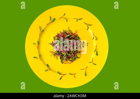 Healthy food concept, salad with green beetroot sprouts. Green seedling vegetarian salad in the plate. Flat lay, top view, copy space Stock Photo