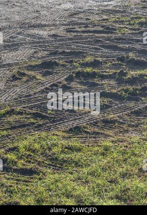 Tyre tracks in soft muddy grass / tracks on grass field. Curved tracks, curving tire marks, muddy metaphor, muddy ground. Stock Photo