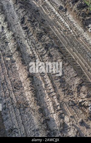 Tyre tracks in soft muddy gloop / tracks on mud. Curved tracks, curving tire marks, winter mud, make an impression, change of direction metaphor. Stock Photo