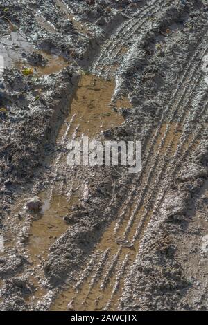 Tyre tracks in soft muddy gloop / tracks on mud. Curved tracks, curving tire marks, winter mud, make an impression, change of direction metaphor. Stock Photo