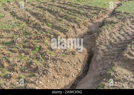 Water erosion channel / rill erosion washout channels in UK arable field where rain washed away topsoil. Surface water erosion, soil loss, soil gully. Stock Photo