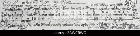 Auraicept Na N Eces The Scholars Primer Being The Texts Of The Ogham Tract From The
