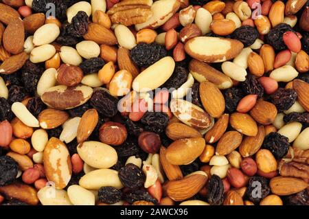 Mixed shelled nut kernels and raisin background with Brazil nuts, peanuts, hazelnuts, almonds, pecan nuts Stock Photo