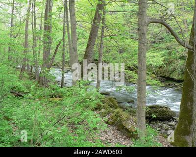 John Bryan State Park, Ohio Stock Photo