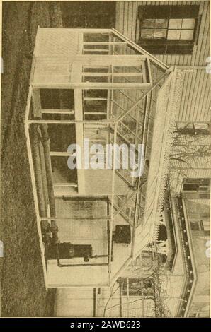 Greenhouse construction : a complete manual on the building, heating, ventilating and arrangement of greenhouses, and the construction of hotbeds, frames and plant pits . PORTABLE CONSERVATORIES. 203 So. 204 GREENHOUSE CONSTRUCTION. be about 12,50 i)cr foot, or a total of 1325 to 1250 for asubstantial house liftceu by twenty feet, with heatingai)paratus and benches. THE BASEMENT PIT. There are some objections to the structure to whichthe above name has been given, the principal ones beingthat it is somewhat difldcnlt of access, that it is incon-spicuous, and that the plants grown there do not Stock Photo