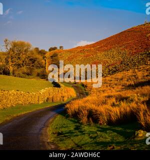 Single track road at the edge of the Brecon beacons follows a drystone wall field boundary. Stock Photo