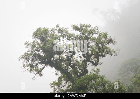 Chorro de Giron Stock Photo