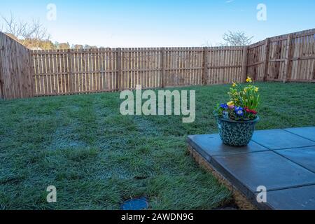 A newly completed and replanted landscaped garden with natural sown grass,  surrounded by new erected wooden fencing all to a modern design. A good im Stock Photo