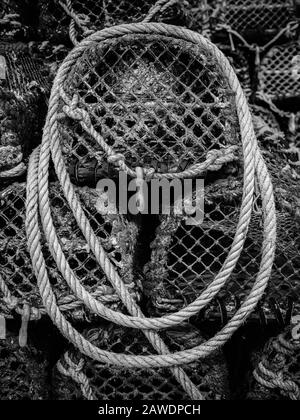 Closeup of a white string rope on a white background, perfect for textile  and fabric design use Stock Photo by wirestock