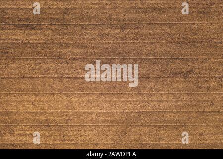 Textured ground surface with parallel lines from cultivator, top view. Fertile soil. Agricalture concept Stock Photo