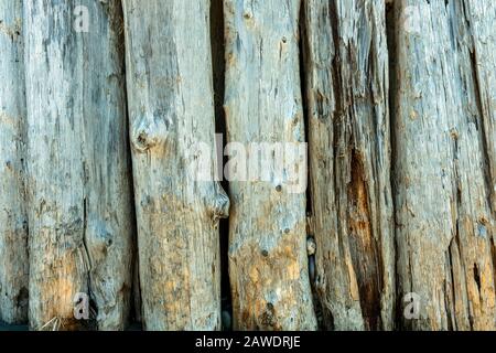 Driftwood pilings in the sand Stock Photo