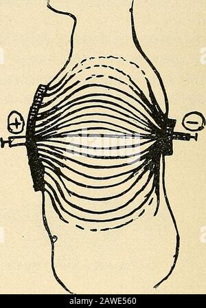 The electro-therapeutic guide, or, A thousand questions asked and answered . Stock Photo