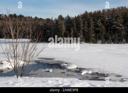 A snow covered lake under clear blue sky on a winter day in northern Ontario and evergreen forest lining the shore.