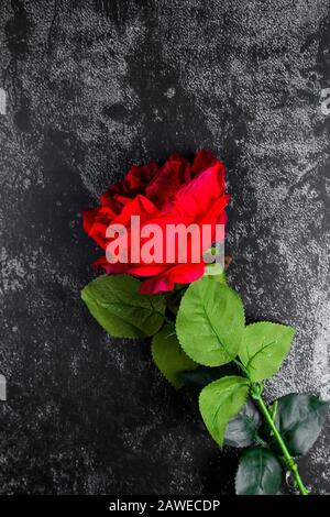 Big red rose on a grunge grey background Stock Photo