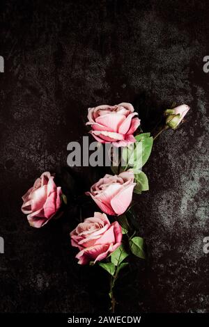 Pink roses on a dark grunge background Stock Photo
