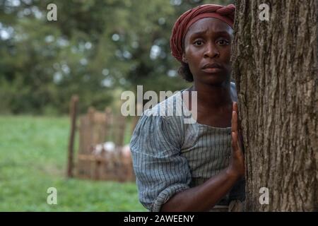 RELEASE DATE: 2019 TITLE: Harriet STUDIO: Focus Features DIRECTOR: Kasi Lemmons PLOT: Based on the story of iconic freedom fighter Harriet Tubman, her escape from slavery and subsequent missions to free dozens of slaves through the Underground Railroad in the face of growing pre-Civil War adversity. STARRING: CYNTHIA ERIVO as Harriet Tubman. (Credit Image: © Focus Features/Entertainment Pictures) Stock Photo