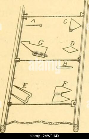 Greenhouse construction : a complete manual on the building, heating, ventilating and arrangement of greenhouses, and the construction of hotbeds, frames and plant pits . way into the wood, and, unless drivenhome, is readily detaclied. It is also more conspicuousthan the wire brad, and is a slight hindrance to thepainting. Two of these brads are used to hold the lowercorners of the glass down in place, and two others areplaced about an eighth of an incli from the upper edge,where they serve to hold the pane in ])lace and to keepthe pane above from slipping down. Large panes requiretwo other br Stock Photo