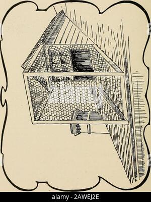 The national standard squab book . e holes in it. Now you need one 