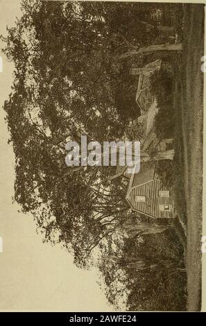 The woods and by-ways of New England . ulip-Tree Liriodendron tulipifera . .129 Tupelo Nyssa villosa 63 V. Vemal Wood-scenery 40 Viburnum, Arrow-Wood . . V. dentatum 24-2 Viburnum, Hobblebusb . . V. lantanoides 241 Viburnum, Maple-leaved . V. acerifolium 241 Viburnum, Wayfaring-Tree. . V. Untago 240 Virginia Creeper Ampelopsis 189 Virgins Bower Clematis 193 W. Wayside Shrubbery 79 Weeping Willow Salix Babylonica 37 Western Plane Platanus occidentalis .... 225 White Birch Betula alba 305 White Pine Pinus strobus 411 White Spruce Abies alba 377 Whortleberry Pasture 210 Whortleberries and Huckleb Stock Photo