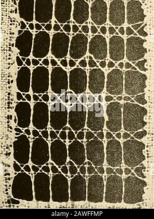 A lace guide for makers and collectors; with a bibliography and five-language nomenclature, profusely illuswith halftone plates and key designs . Stock Photo