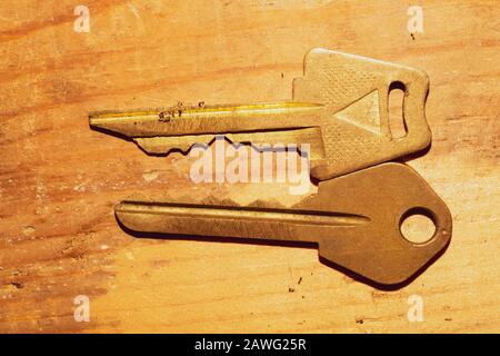 Two keys isolated on wooden background. safety and security concept Stock Photo