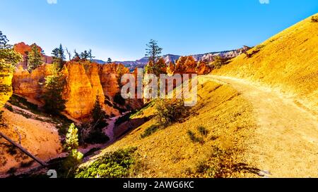 Hiking at Sunrise on the Navajo Trail among the vermilion colored Hoodoos in Bryce Canyon National Park, Utah, United Sates Stock Photo