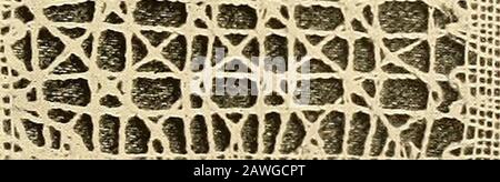 A lace guide for makers and collectors; with a bibliography and five-language nomenclature, profusely illuswith halftone plates and key designs . i**^*?. Stock Photo