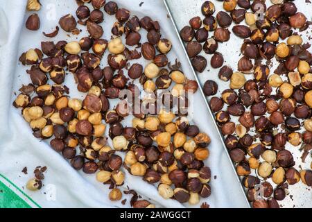 Corylus avellana. Roasted Hazelnuts on a baking tray and towel for making homemade vegan hazelnut chocolate spread Stock Photo