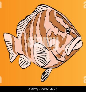 Vector aquarium fish silhouette illustration. Colorful cartoon flat aquarium fish icon for your design. Stock Vector
