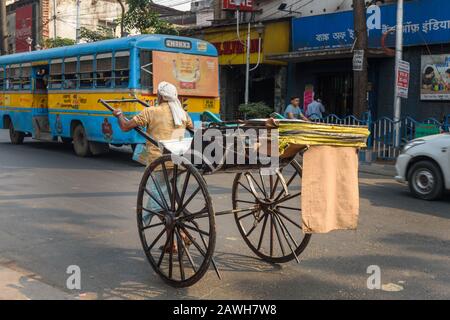 Man rickshaw puller is pulling his hand rickshaw on the street in Kolkata. India Stock Photo