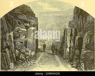 Picturesque Ireland : a literary and artistic delineation of the natural scenery, remarkable places, historical antiquities, public buildings, ancient abbeys, towers, castles, and other romantic and attractive features of Ireland . over a series of rocky walls and ledges into a deep pool, called in Irish Poul-a-phuca, the pool of the Pooka, or Pucks hole; the Irish elf Phuca—an odd mix-ture of merriment and malignity, being a counterpart, if not prototype of Puck the merry wanderer of the night. A picturesque bridge of a single arch—sixty-five feet—has been thrown over the gorge, and adds to t Stock Photo