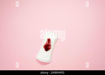 Woman pad lying isolated on  pink  background with red feather on it . Woman hygiene protection (sanitary) Stock Photo