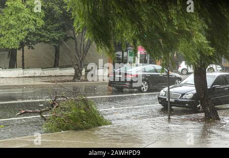 Sydney. 9th Feb, 2020. A fallen tree branch lies on the ground because of the heavy rain in Sydney, Australia, Feb. 9, 2020, A huge rainfall hits Australia's bushfire-ravaged east coast on Friday. In the midst of the worst drought on record, the huge rainfall on Friday is predicted to stick around for at least a week and may bring relief to the long-suffering communities. Although the rain is mostly being seen as good news, authorities are also warning that fire-damaged areas are at extreme risk of flooding. Credit: Bai Xuefei/Xinhua/Alamy Live News Stock Photo