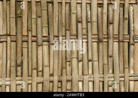 Wicker fence made of sawn bamboo trunks Stock Photo