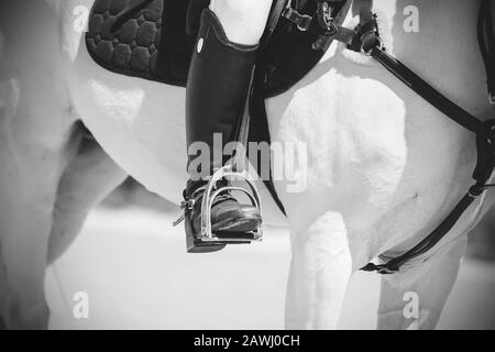 A black-and-white image of a rider's leg sitting in the saddle on a white horse. The foot rests on the stirrup, illuminated by the sun. Stock Photo