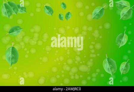 Green bokeh abstract light background. Summer foliage against on sunshine green backgrounds. Natural eco background with leaves and bokeh. Vector Stock Vector