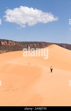 Young woman walks alone in desert landscape, Coral Pink Sand Dunes, Utah, USA Stock Photo